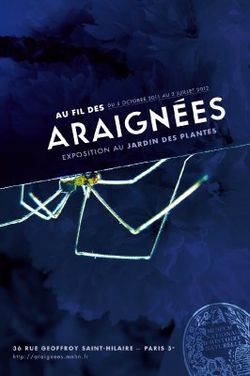 64648-araignees-jardin-des-plantes-museum-national-d-histoire-naturelle