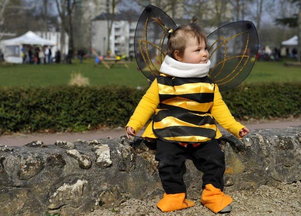 Petite abeille