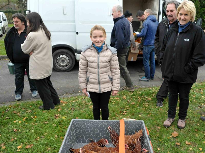 Villevaudé - adoptons des poules 4