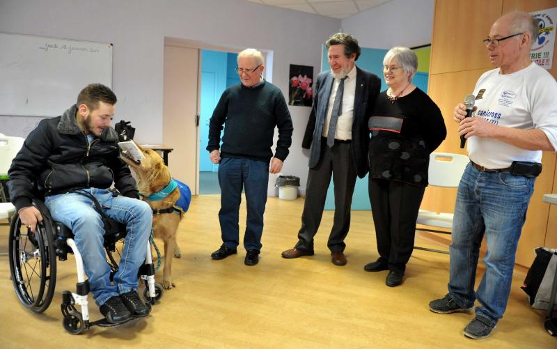 Chelles - Handi chiens-4