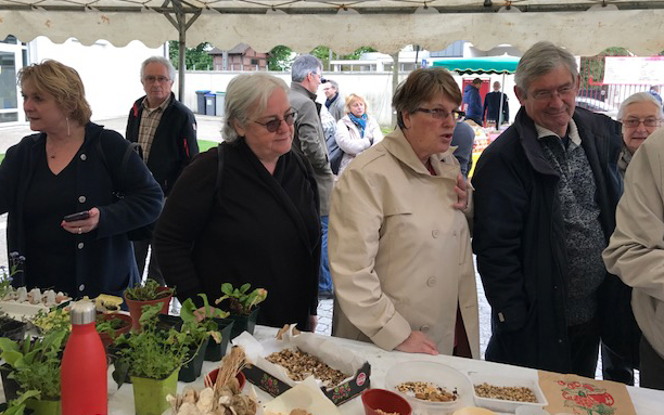 Villevaudé - bourse aux plantes 9