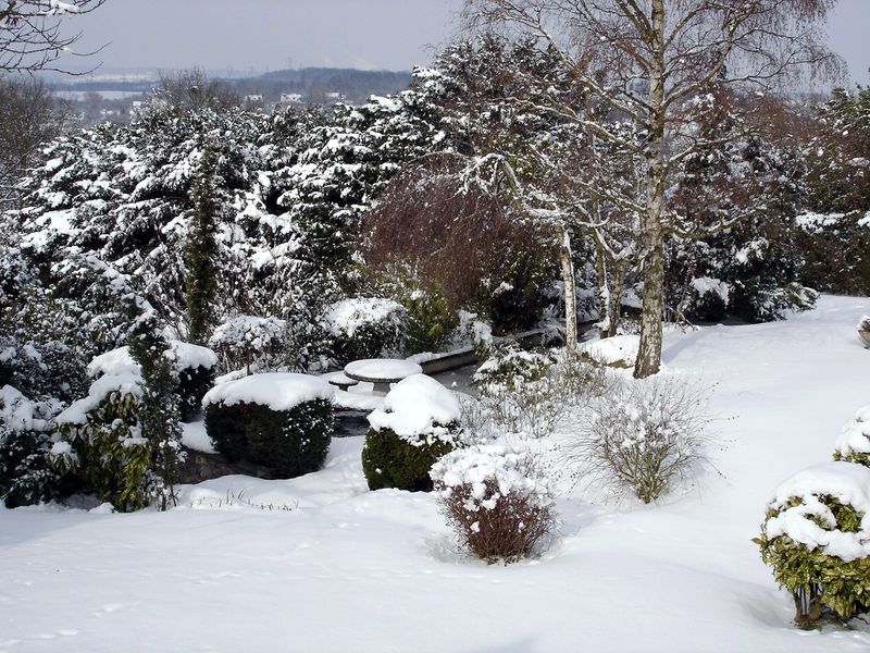 16 jardin neige 2