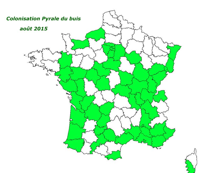 Carte-pyrale-du-buis-08-2015