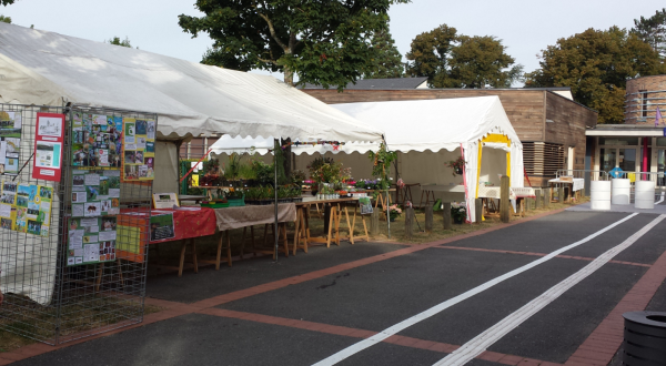 1stands marché.JPG 1stands marché.JPG