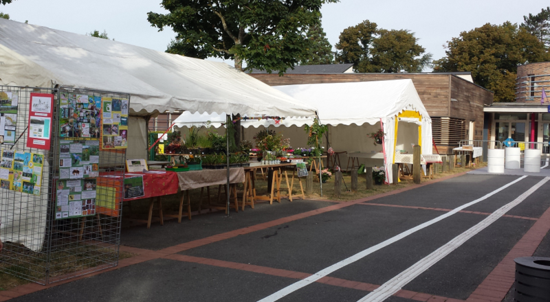 1stands marché.JPG