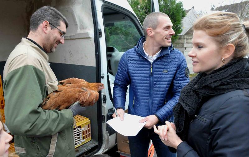 Villevaudé - adoptons des poules 9