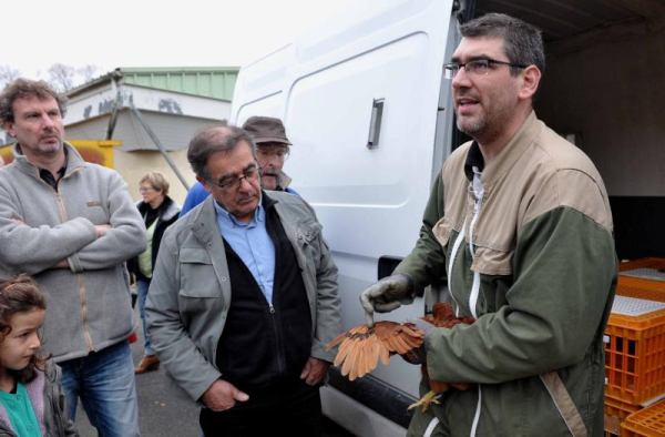 Villevaudé - adoptons des poules 1