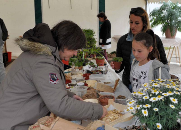 Villevaudé - bourse aux plantes - 12