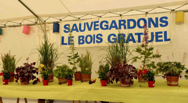 Villevaudé - bourse aux plantes 6