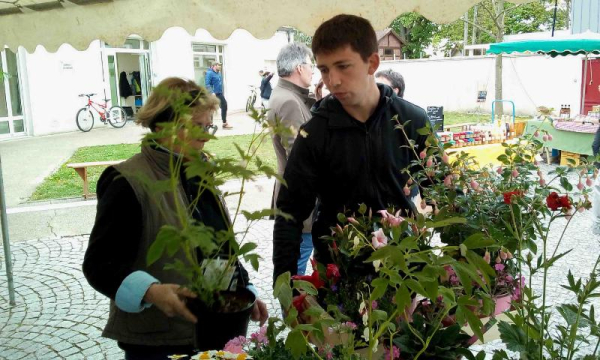 Villevaudé - bourse aux plantes 3