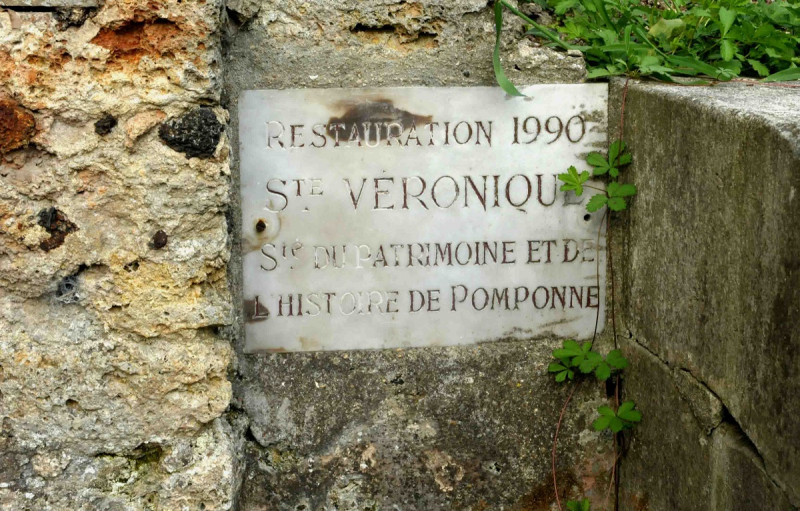 Pomponne-ste-véronique-4 - Copie