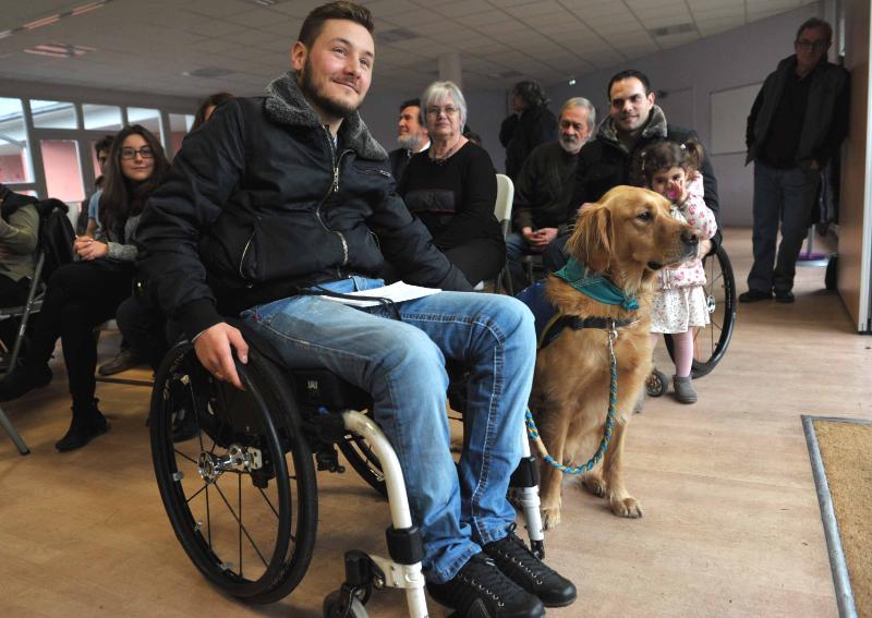 Chelles - Handi chiens-1