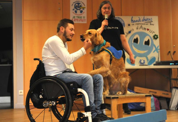 Chelles - Handi chiens-6