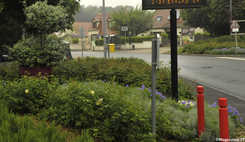 Villevaudé-première-fleur-pour-le-village