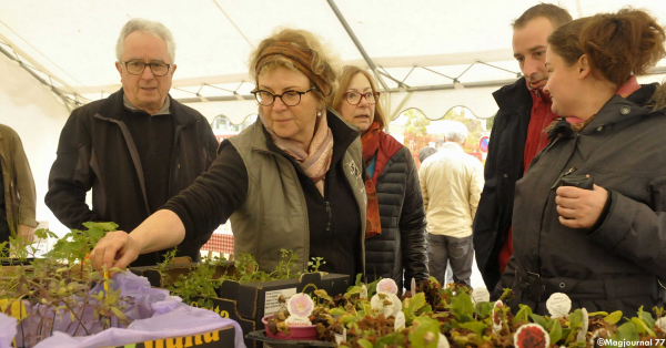 Villevaudé-bourse-aux-plantes-3