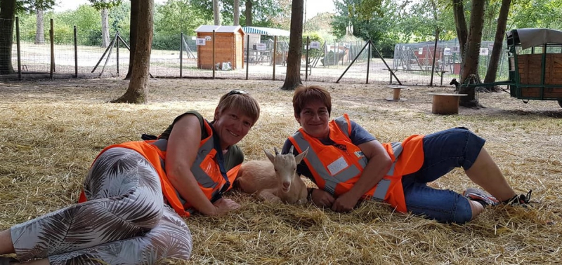 Courtry-le-retour-de-la-mini-ferme-