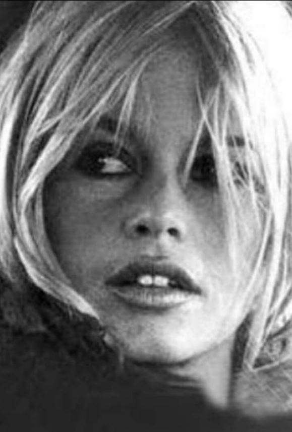 12Brigitte bardot