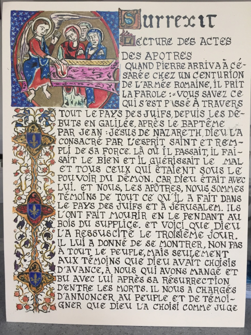 VERGER1 - Copie