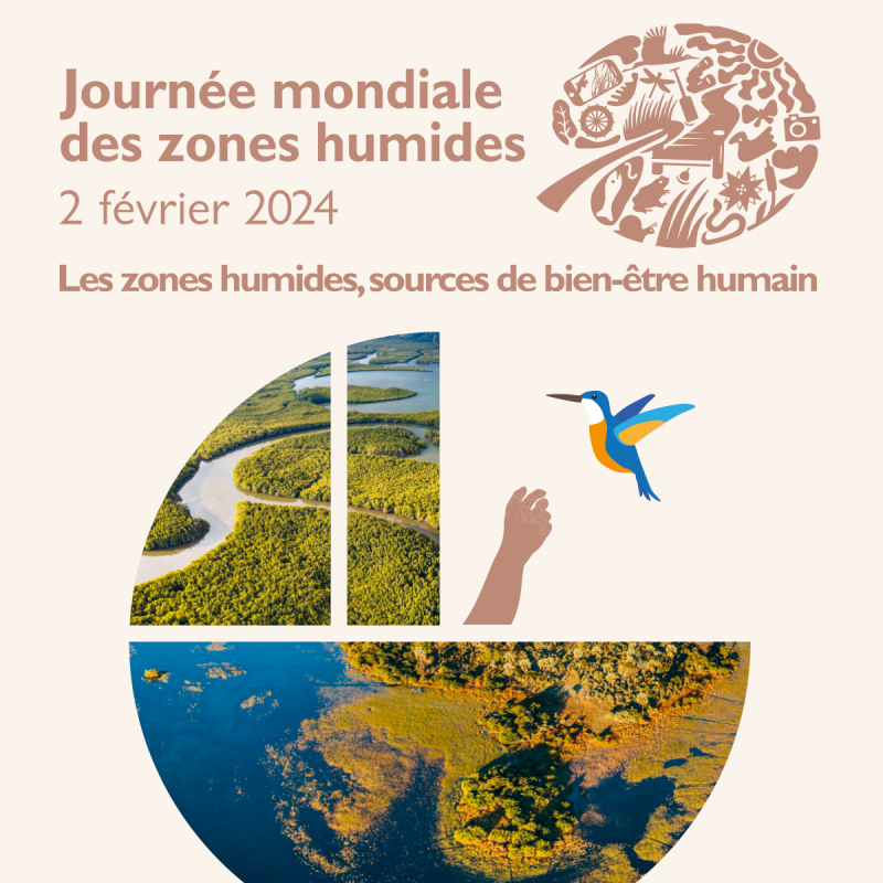 Zones humides affiche