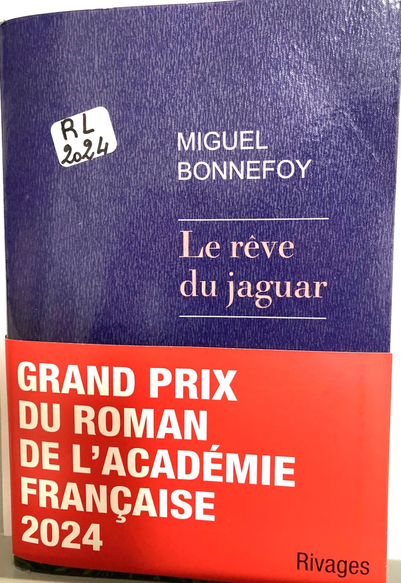 Le rêve du jaguar