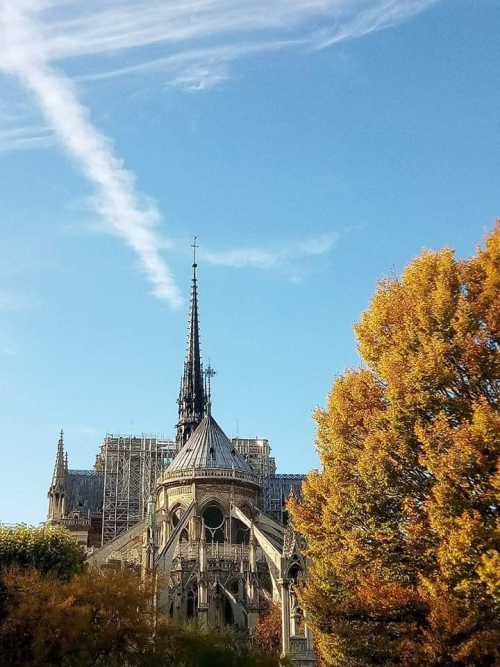 NOTRE DAME 15 AVRIL